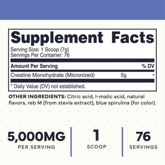 Creatina Monohidratada 500 g – Type Zero